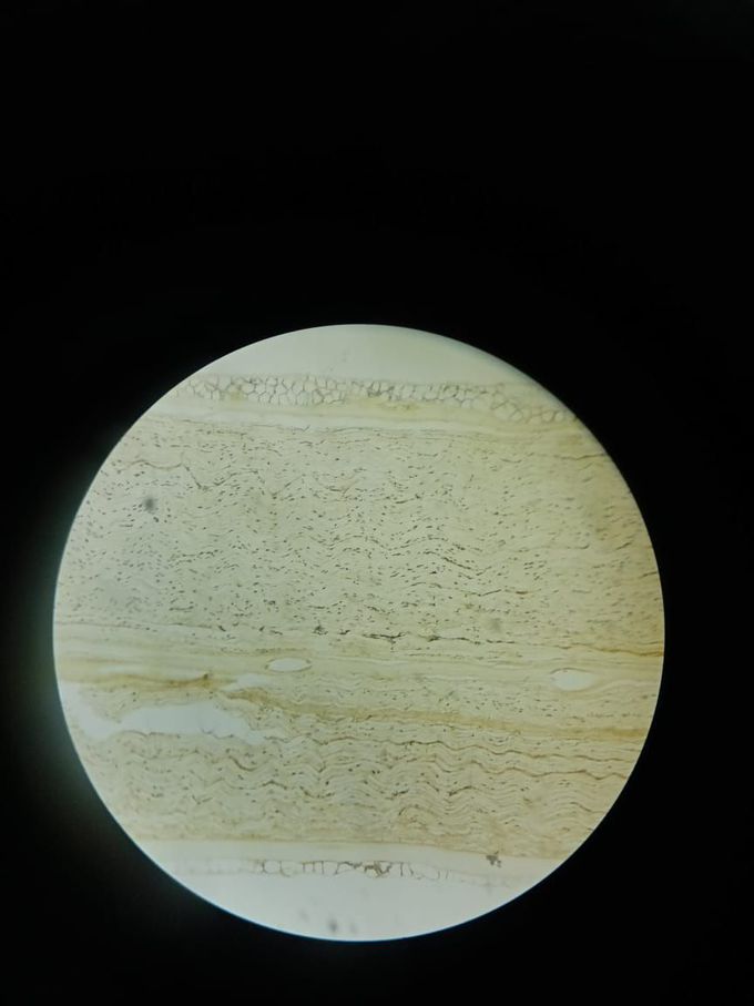 Identify the slide