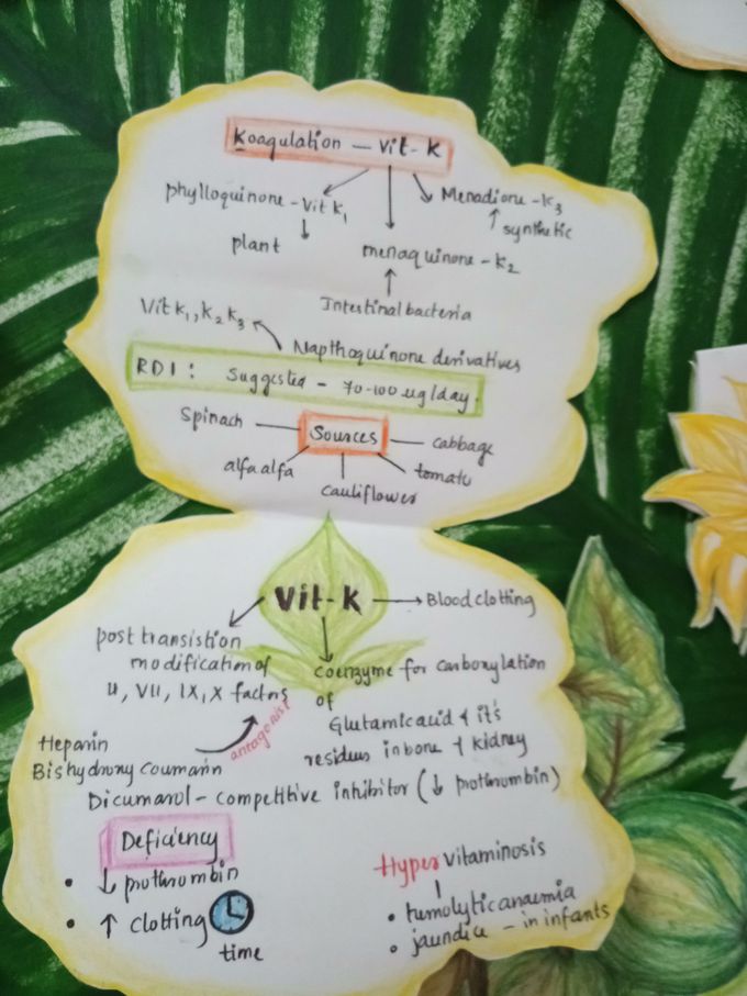 flipped vitamin K card