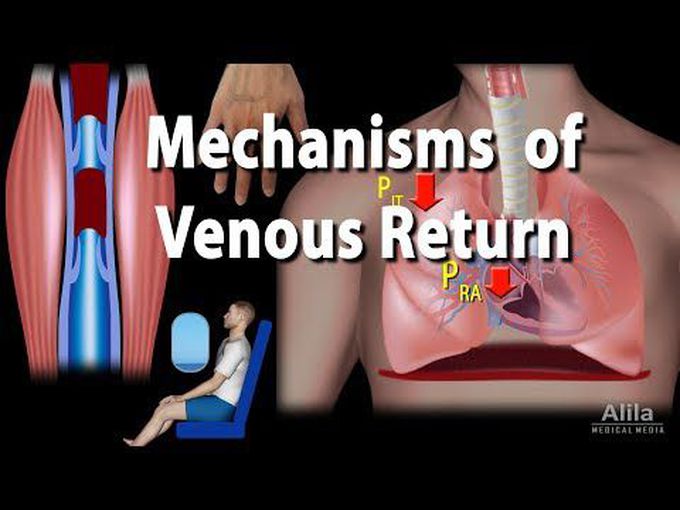 Mechanism of venous return