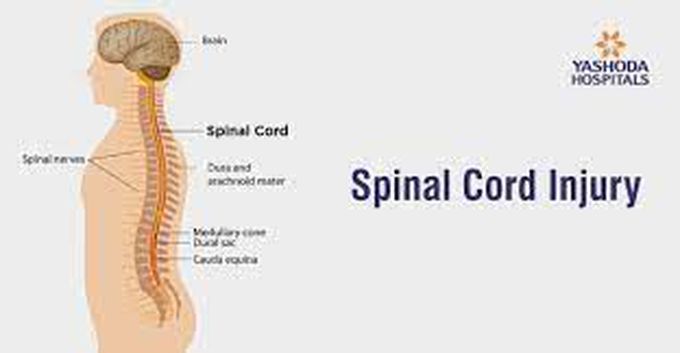 What are the risk factors for acute spinal cord injury?