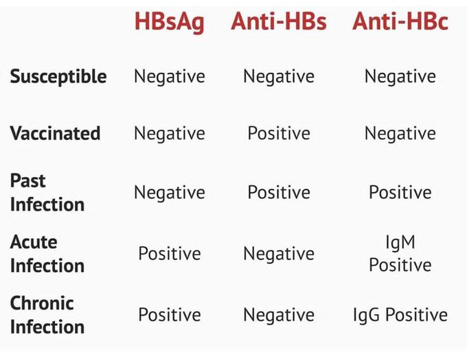 Hep B Serology