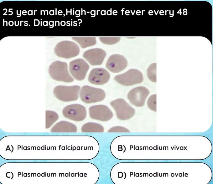 Diagnose It