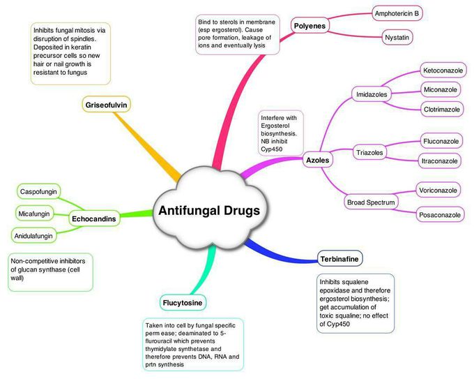Antifungal drugs