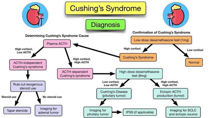 Cushing's Syndrome diagnosis