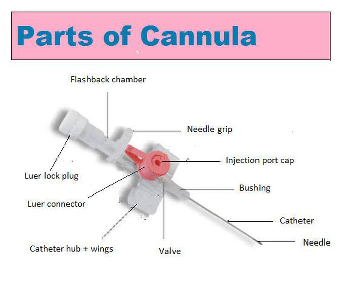 Parts of Cannula