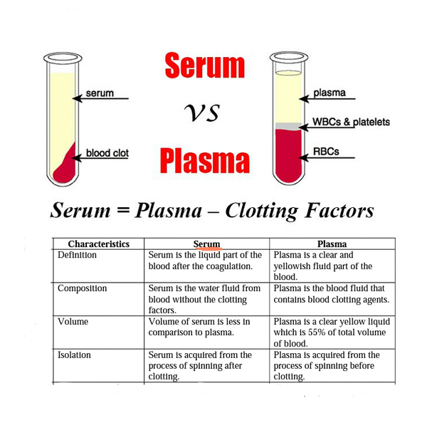 9 x 41 VS plasma serum