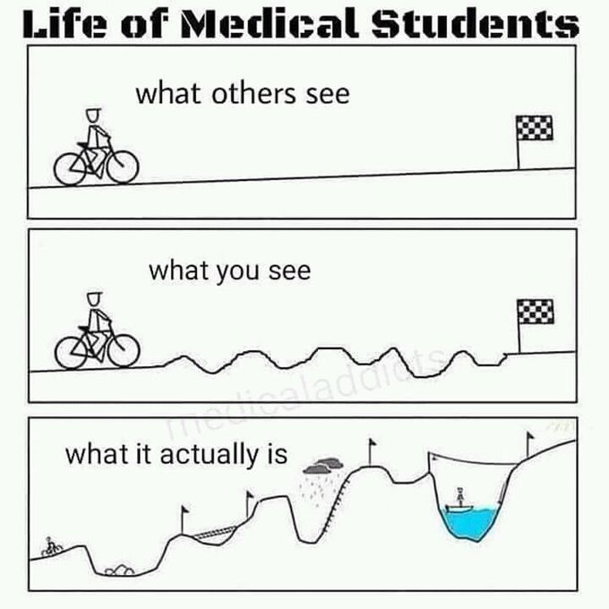 😂😂😂