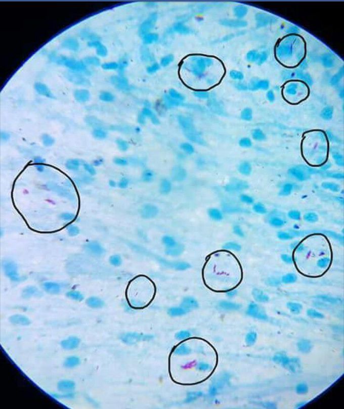 Identify