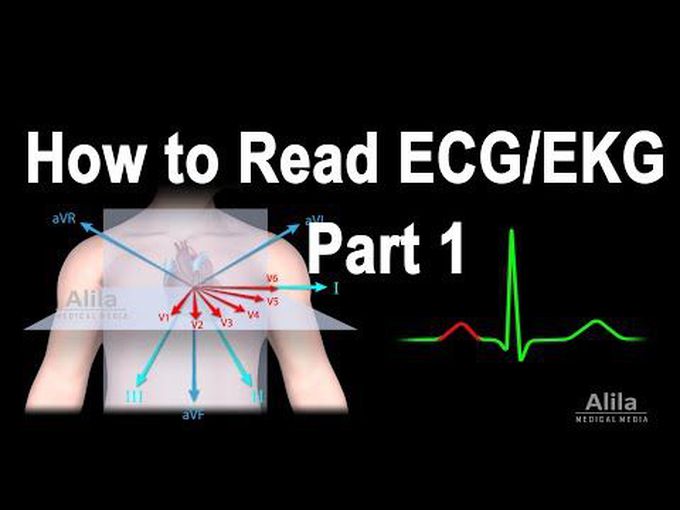 Reading an ECG Part I
