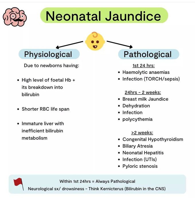 Neonatal Jaundice