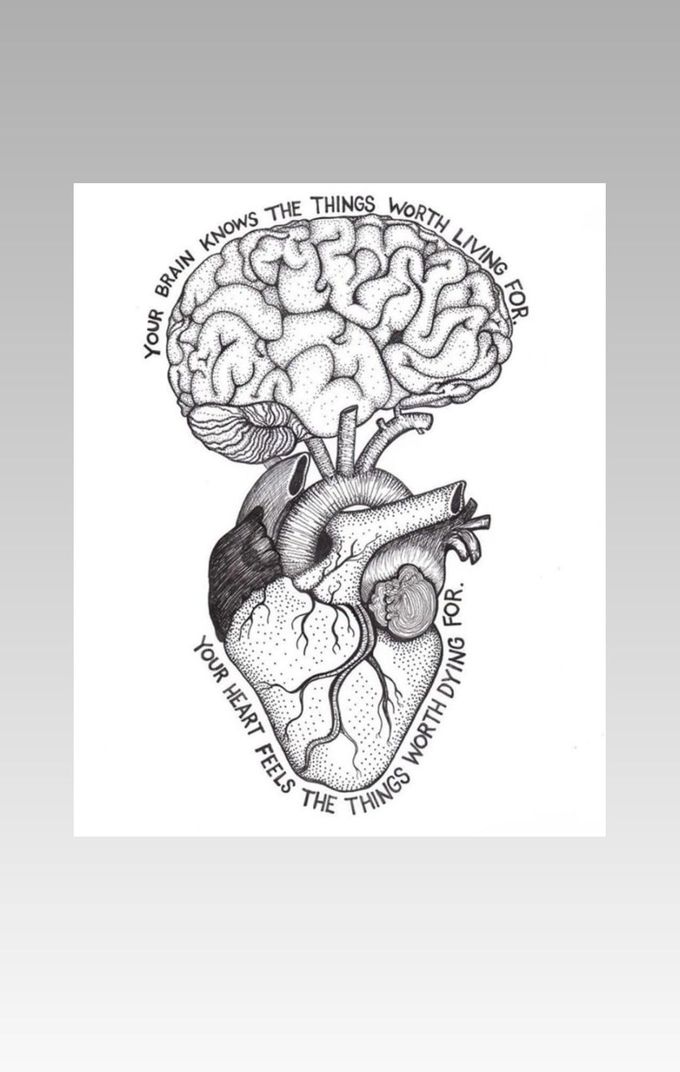 Our brain or heart?