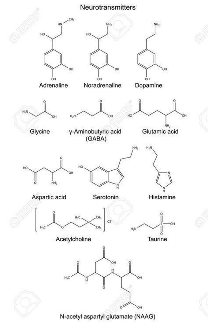 Neurotransmitters