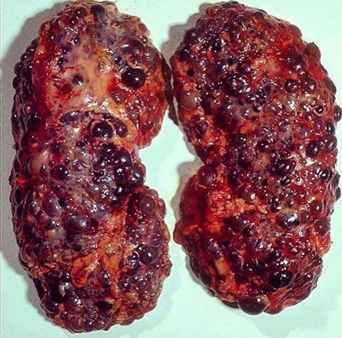 Medical Guide 😷 on Twitter