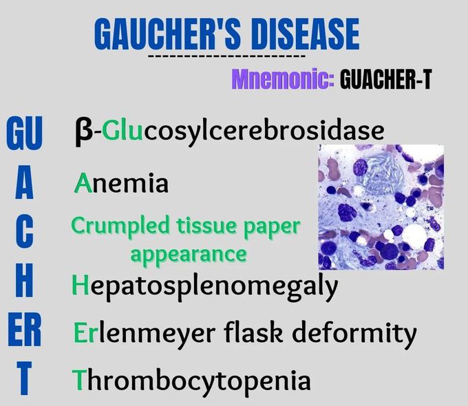 Gaucher's Disease