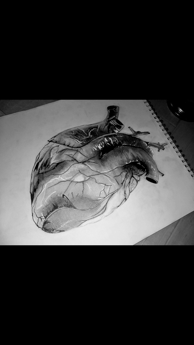 Anatomy of the Heart