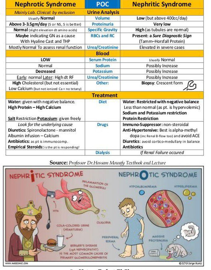 Nephrotic Vs Nephritic Syndrome