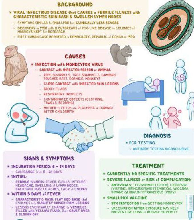 Cause of Mpox (monkeypox)