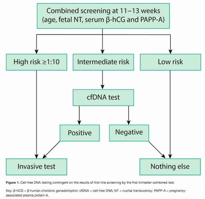 Down Screening Algorithm