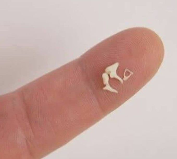 Name these 3 smallest bones of the body!