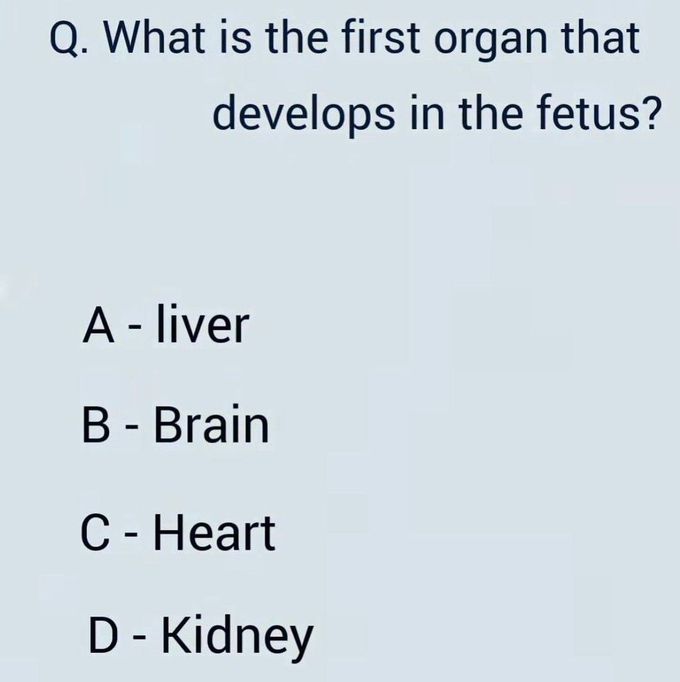 First Organ in Fetus
