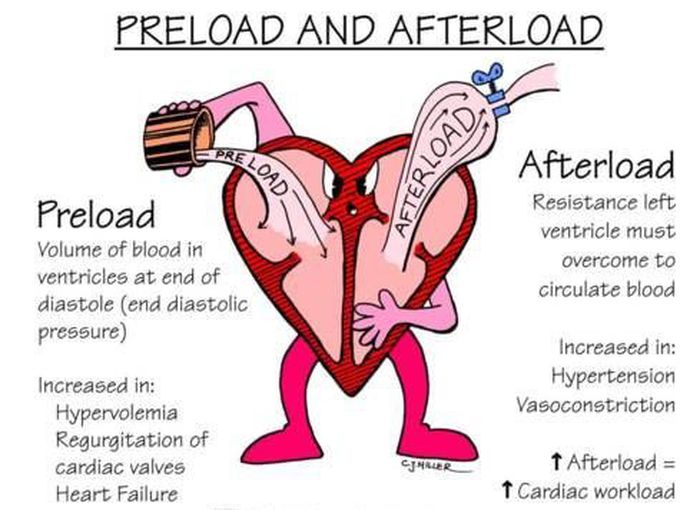 Preload and afterload