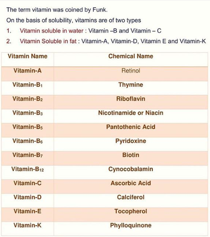 Vitamin ADEK - Tổng Quan Chi Tiết