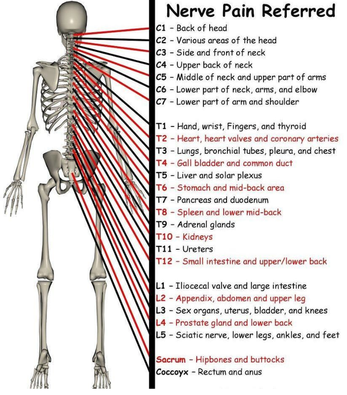 Nerve Pain Reffered