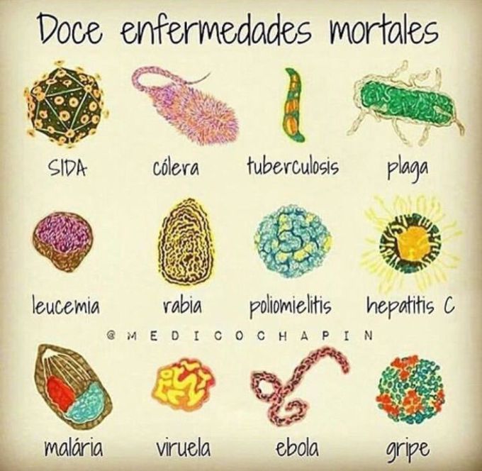 Doce Enfermedades Mortales ❌🆘