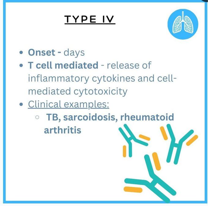 Type IV Hypersensitivity