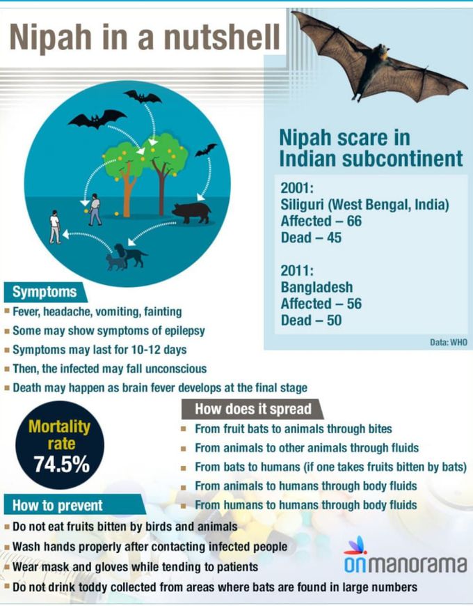 Nipah