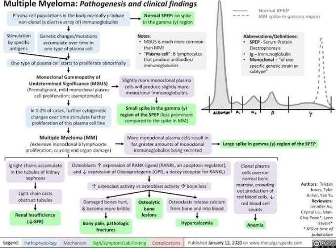 Multiple Myeloma