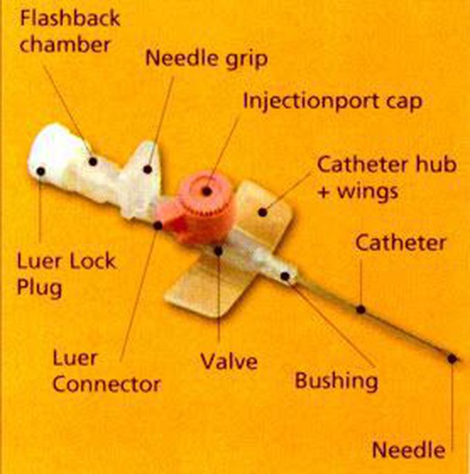 Anatomy of iv cannula