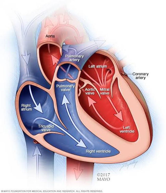 Mitral stenosis