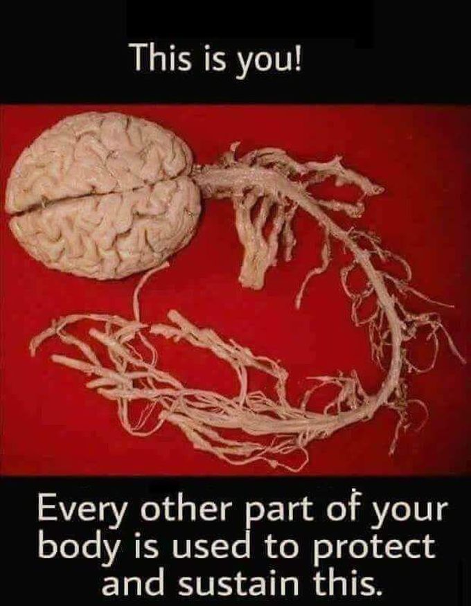 Someone shared me this 😁😁